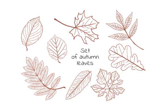 Autumn Falling Leaves Embroidery Review