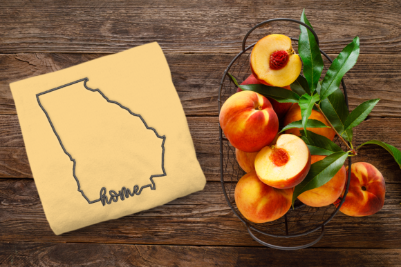 Georgia Home State Outline