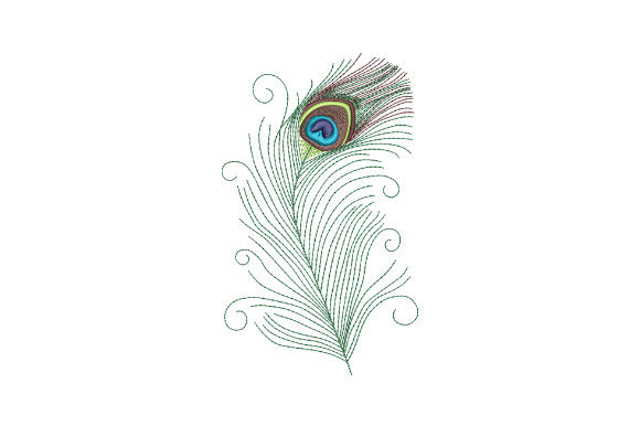 Peacock Feather with Swirls